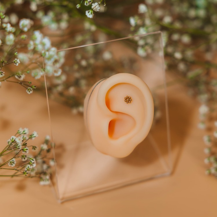 Stalowy labret w kształcie kwiatka