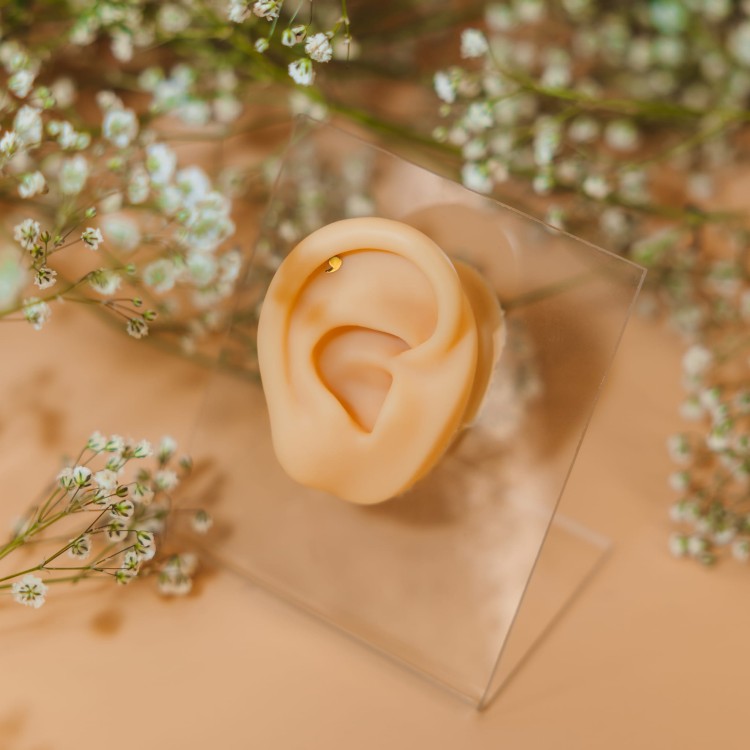 Labret z nakrętką w kształcie przecinka - Stal Ch.316L