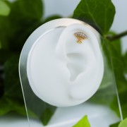 Tytanowy ZŁOTY labret wachlarz