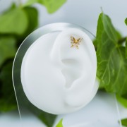 Tytanowy ZŁOTY labret z motylkiem i cyrkoniami