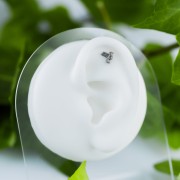 Tytanowy labret z motywem jaskółki